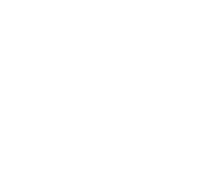 Irvin Risso